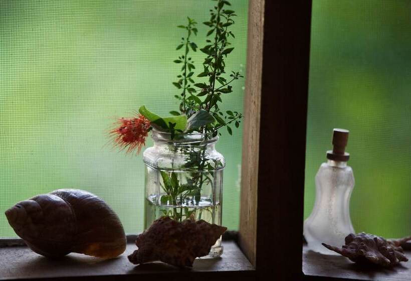 בית מלון כפרי Baker Safari Company