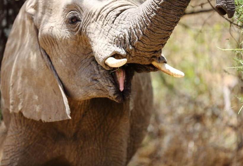 בית מלון כפרי Baker Safari Company