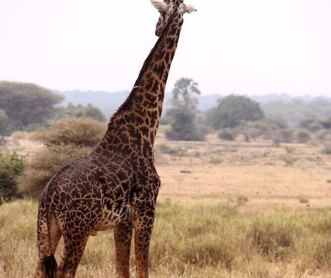 בית מלון כפרי Baker Safari Company