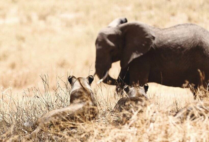 בית מלון כפרי Baker Safari Company