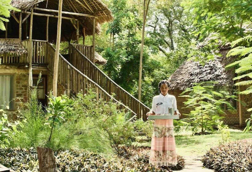 בית מלון כפרי Baker Safari Company