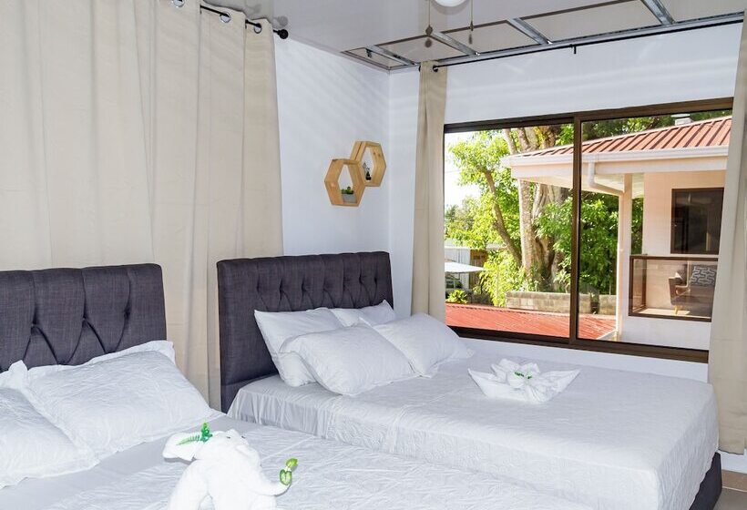 فندق Ballena Rey