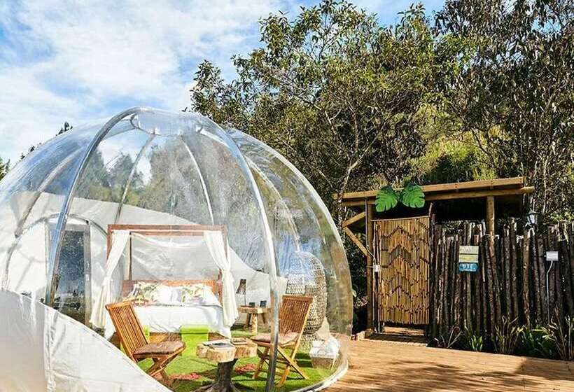 בית מלון כפרי Bubblesky Glamping