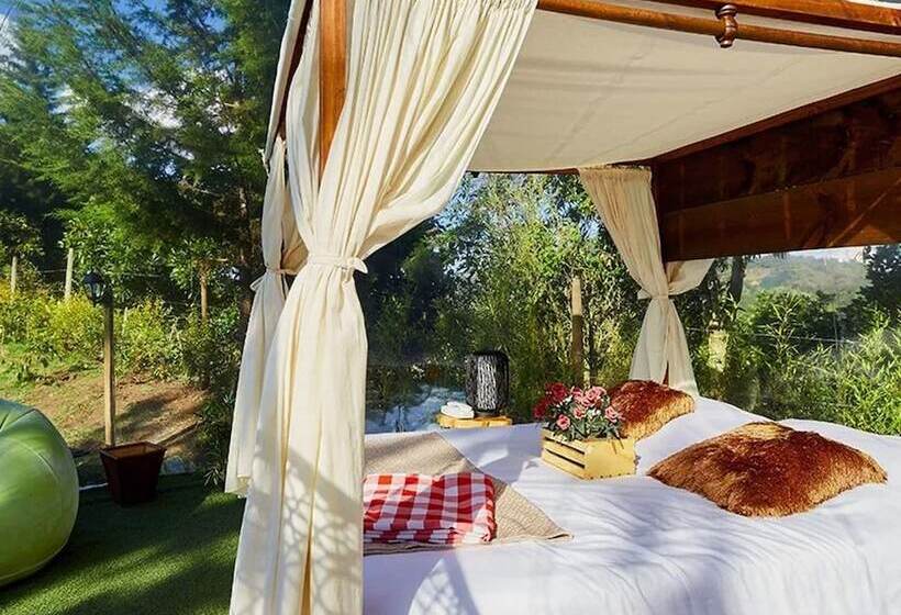 בית מלון כפרי Bubblesky Glamping