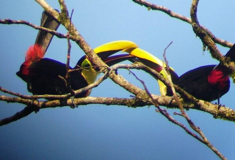 فندق Cabinas Ecogarden Arenal