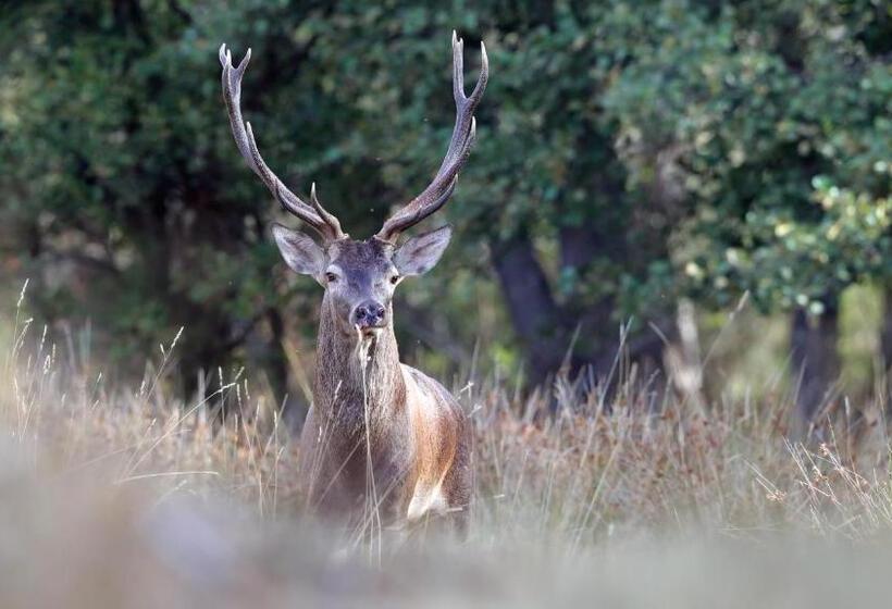 호텔 Casa Da Portela
