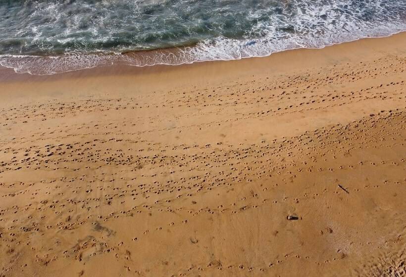 호텔 Casa Mandarina