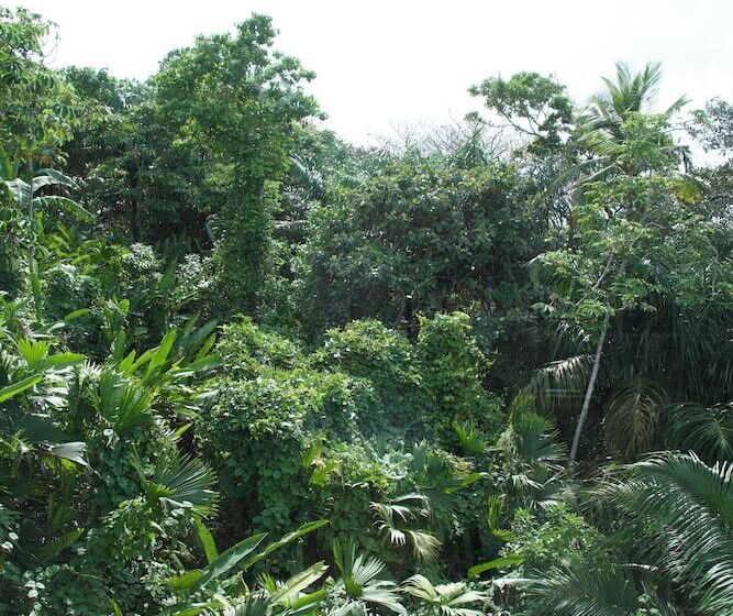 בית מלון כפרי Ciel Y Miel