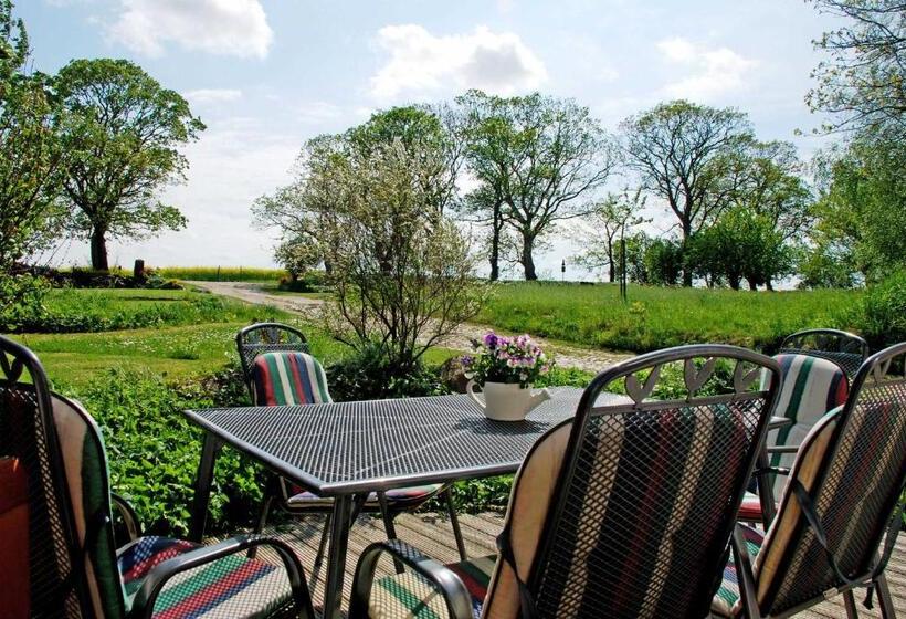 호텔 Ferienhaus Unterm Reetdach