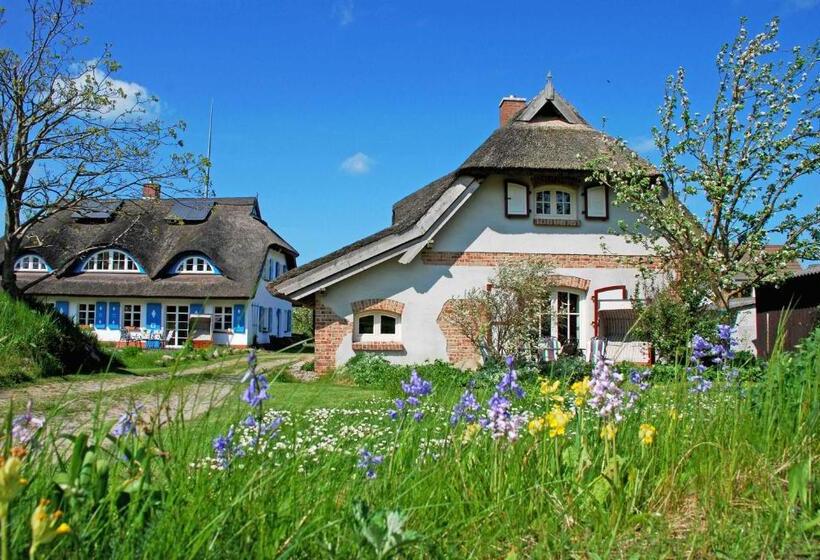 호텔 Ferienhaus Unterm Reetdach