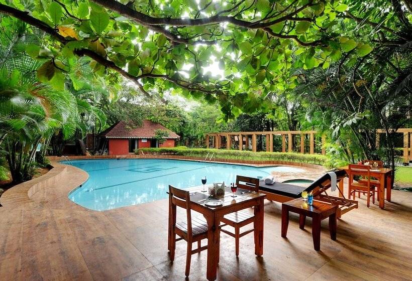 فندق Gold Coins Club & Resort