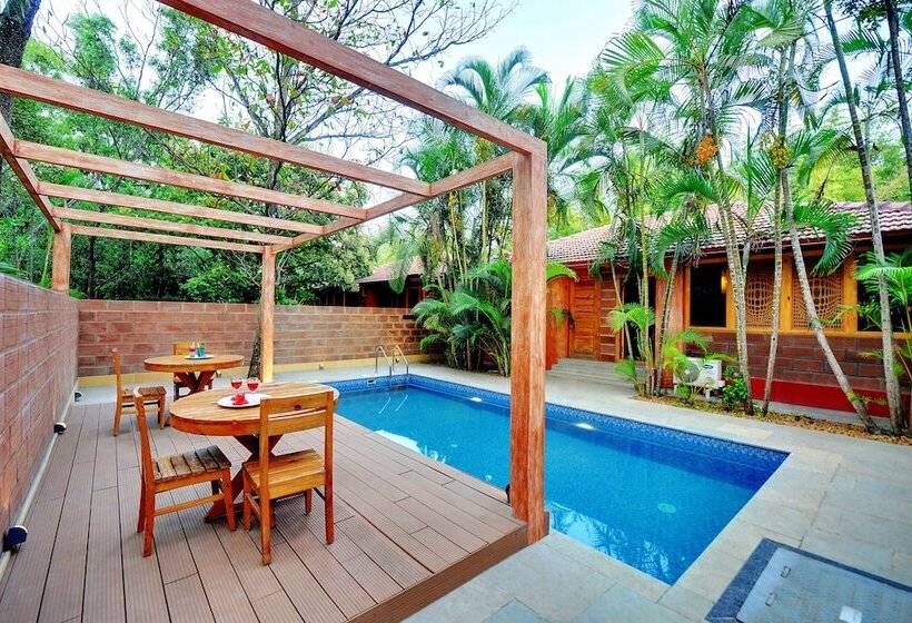 فندق Gold Coins Club & Resort