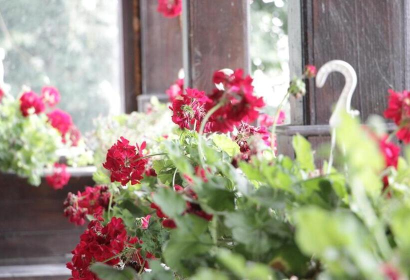 Отель Hanul Lui țintă