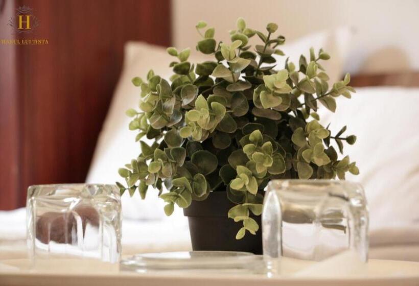 Отель Hanul Lui țintă