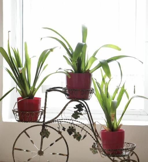 Отель Hanul Lui țintă