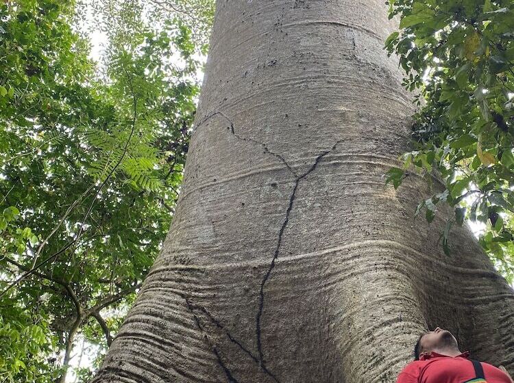 酒店 Las Rocas Village Eco