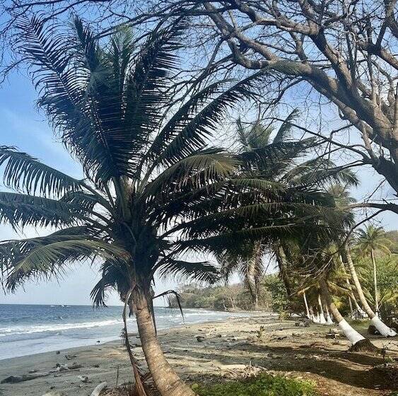 酒店 Las Rocas Village Eco