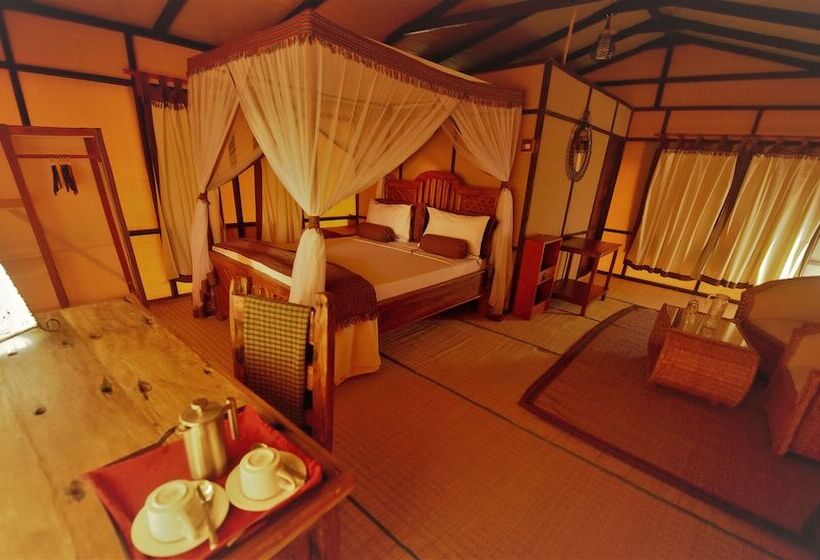 호텔 Little Okavango Camp