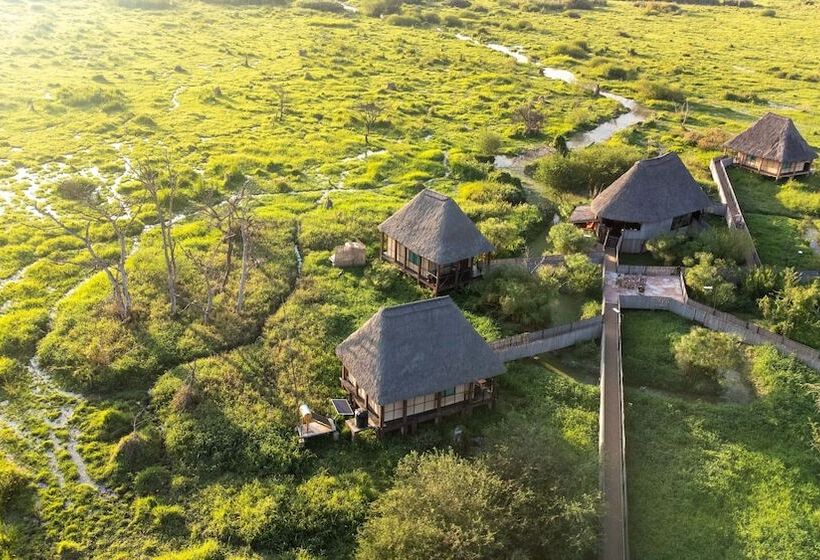 호텔 Little Okavango Camp