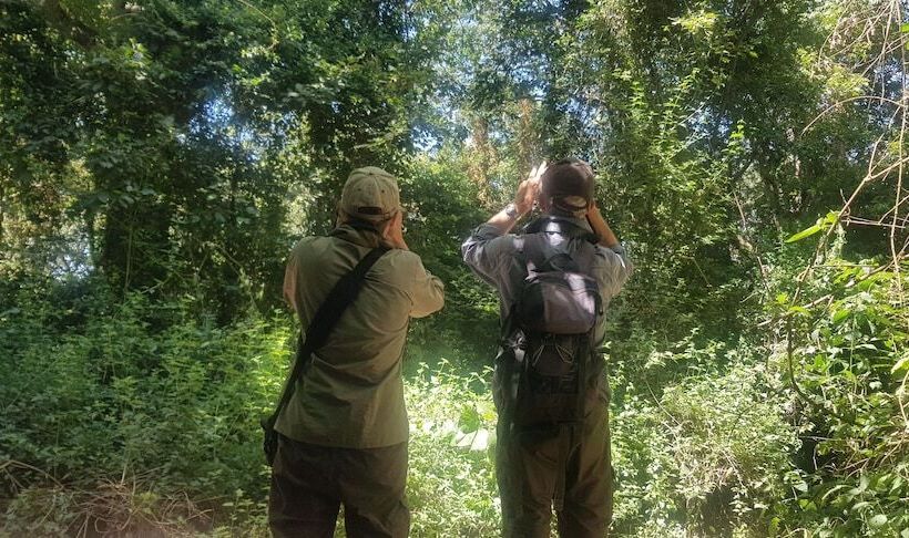 Отель Meru Mbega Lodge