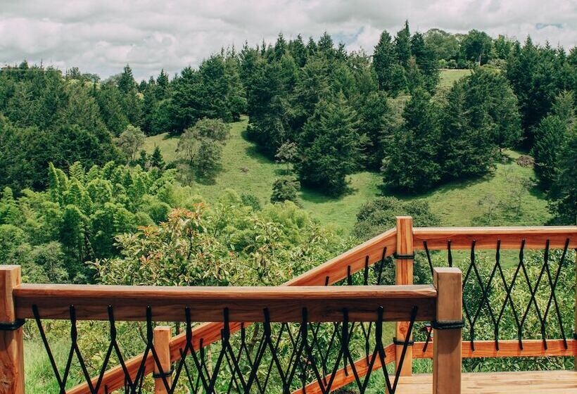 호텔 örök Landscape