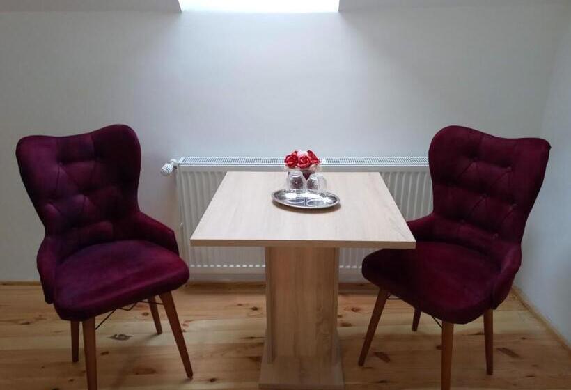 酒店 Pensiunea Casa Hann