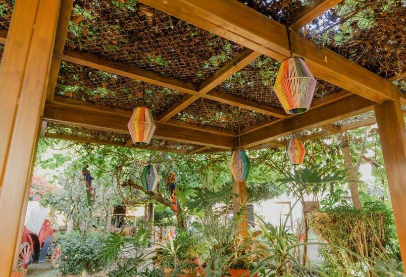 בית מלון כפרי Rancho Regis