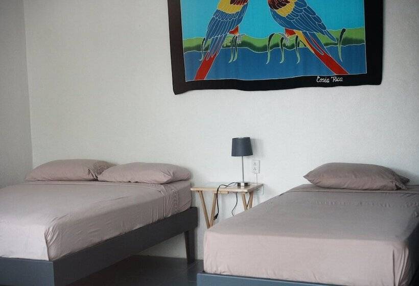 فندق Rooms & Pool Macaws