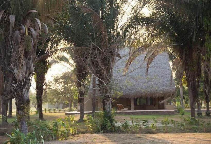 בית מלון כפרי Savanna Orinoquia Lodge