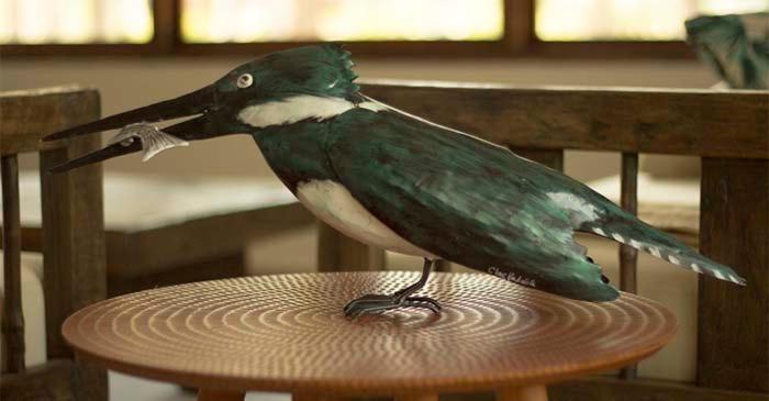 בית מלון כפרי Savanna Orinoquia Lodge