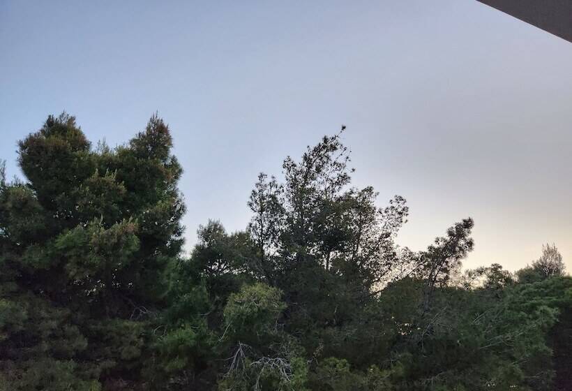 호텔 Sea Front Villa