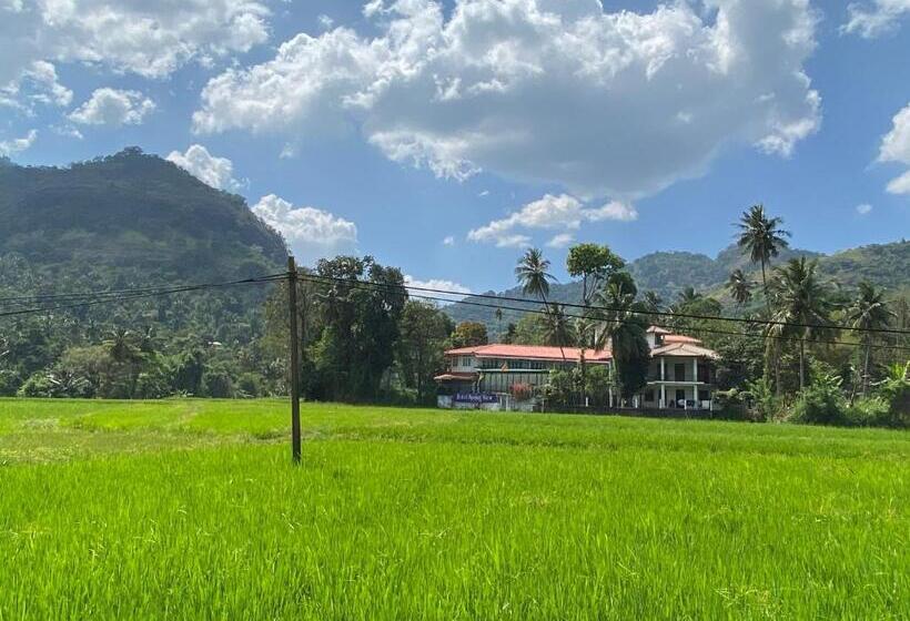 ホテル Spring View