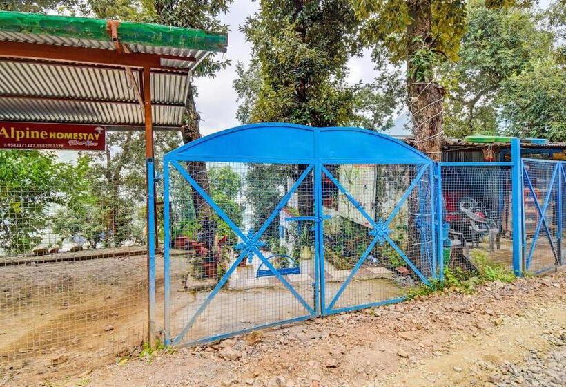 בית מלון כפרי Super Oyo Flagship Alpine Homestay