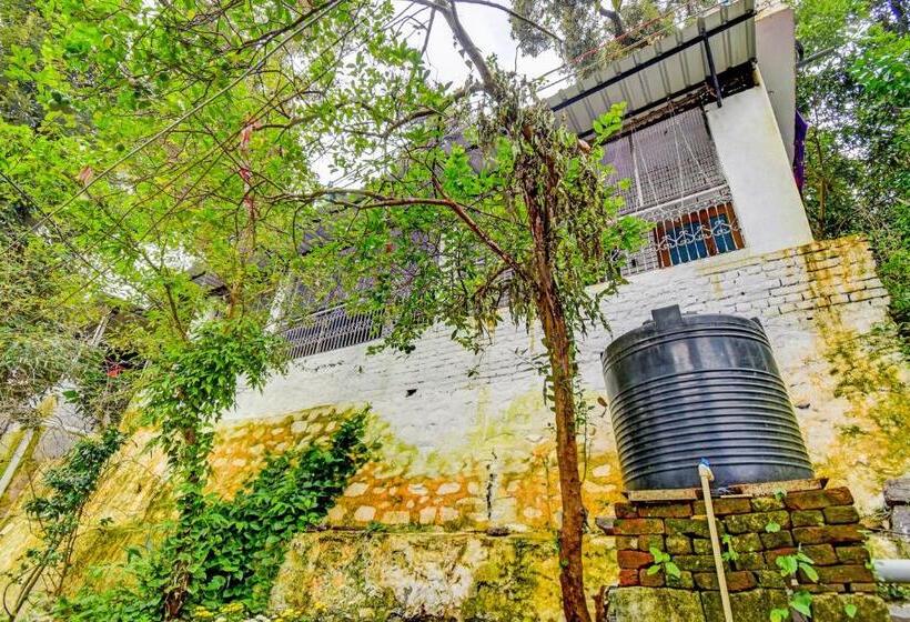 בית מלון כפרי Super Oyo Flagship Alpine Homestay