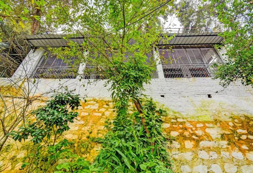 בית מלון כפרי Super Oyo Flagship Alpine Homestay