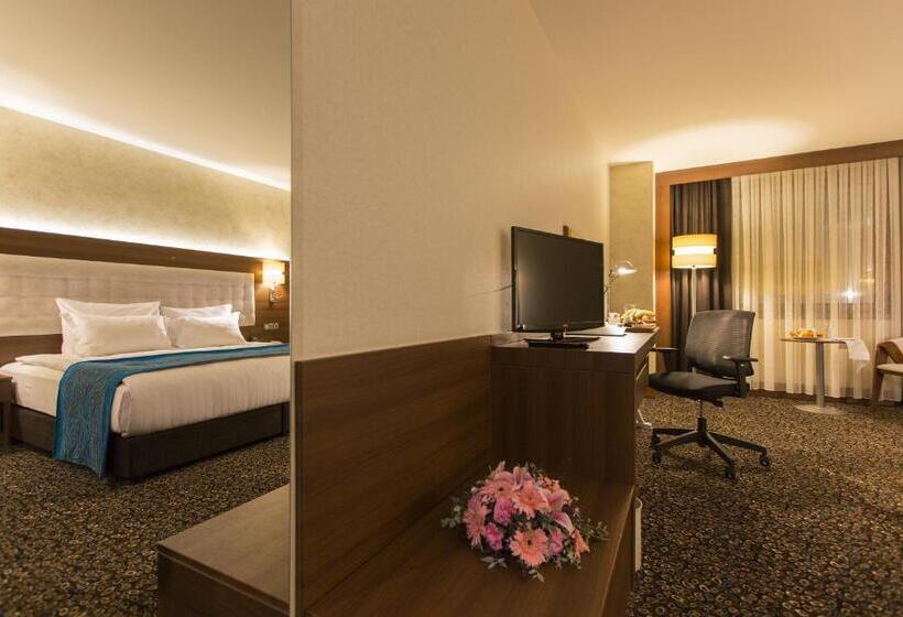 هتل Teymur Continental