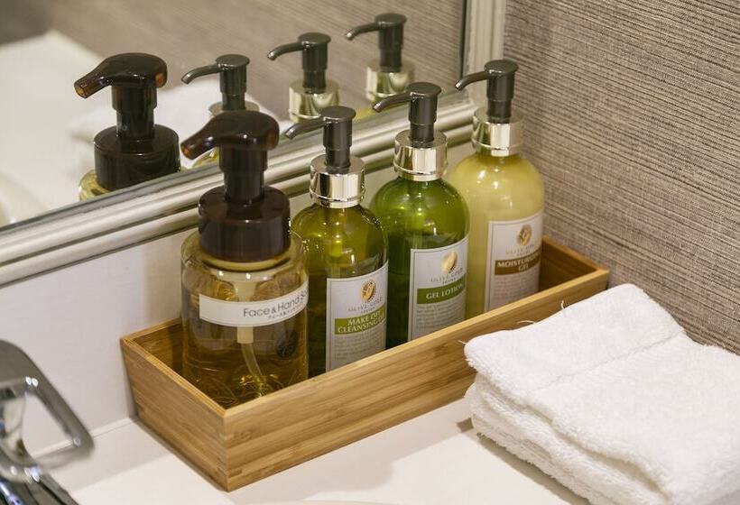 Отель Tsukinoyado Kaguya