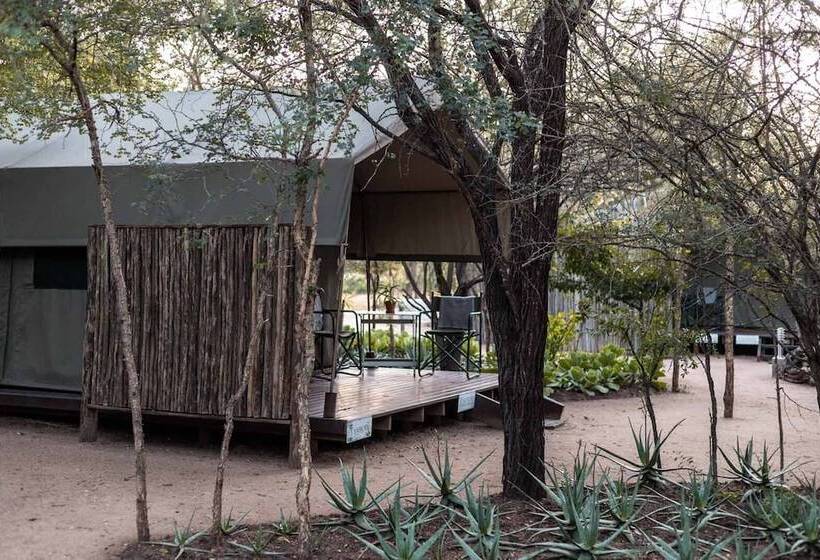 ホテル Umkumbe Bush Lodge Luxury Tented Camp
