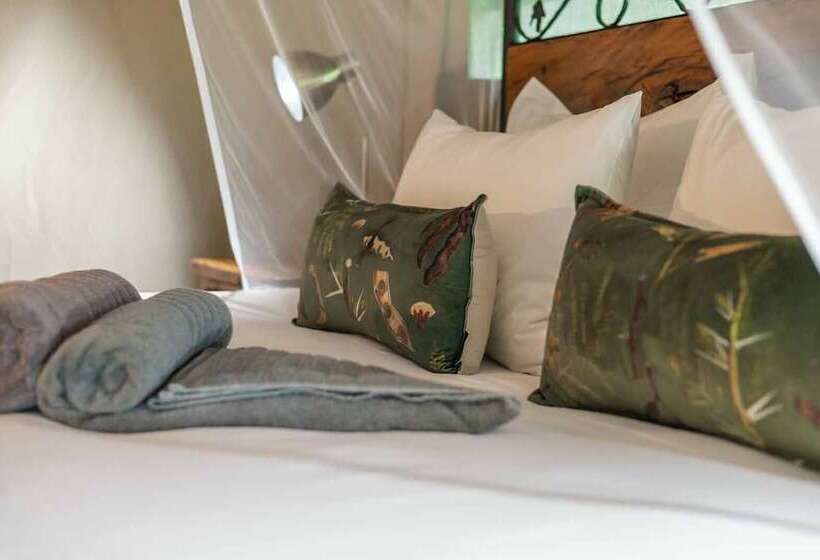ホテル Umkumbe Bush Lodge Luxury Tented Camp