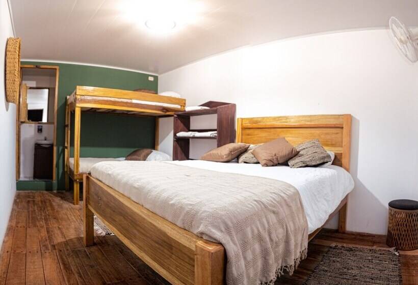 فندق Veragua Rainforest Lodge