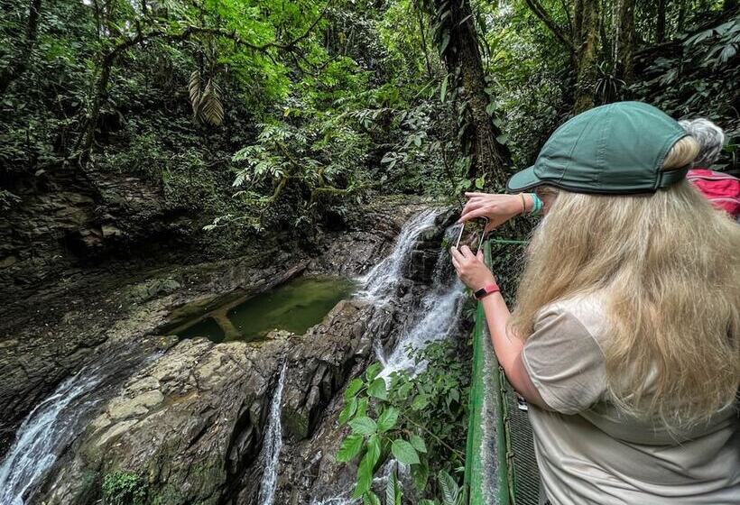 فندق Veragua Rainforest Lodge