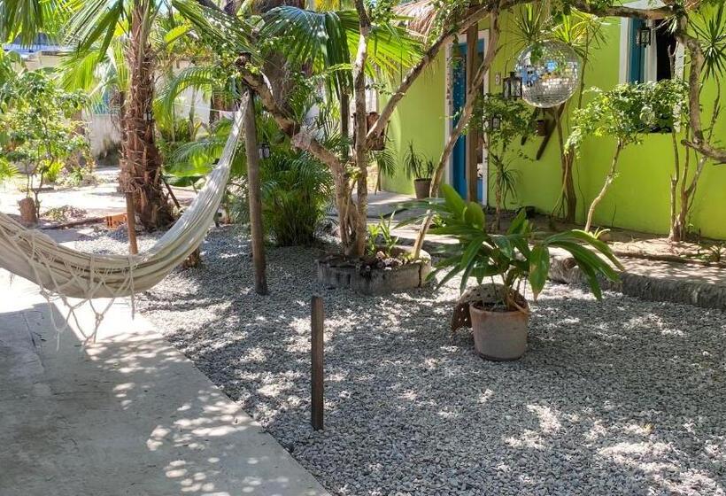 بنسيون A Casa Do Vizinho