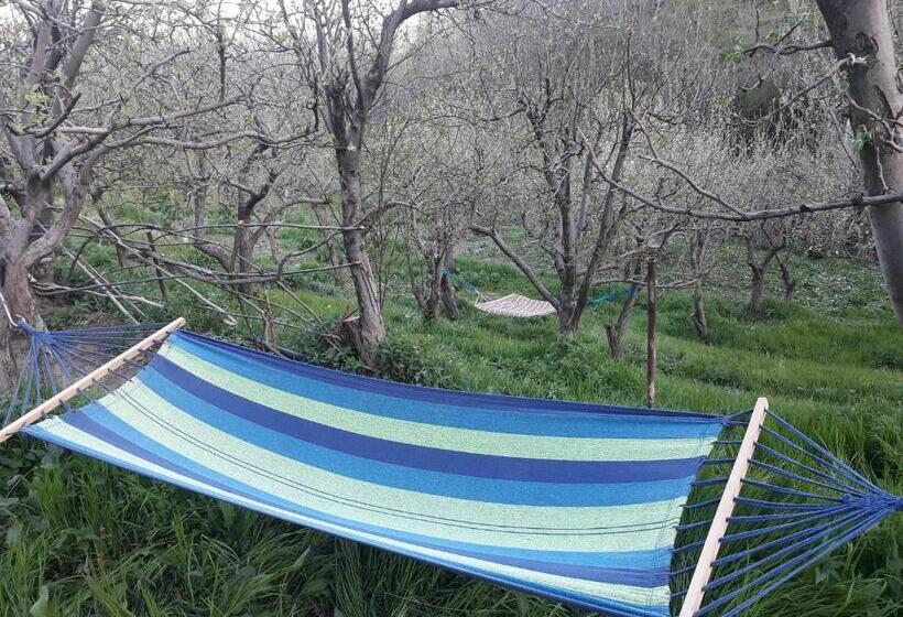 بنسيون Aghveran Eco Guest House