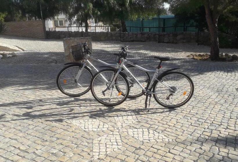 פנסיון Alojamento Local Patudos, Suite Com Terraço Privado