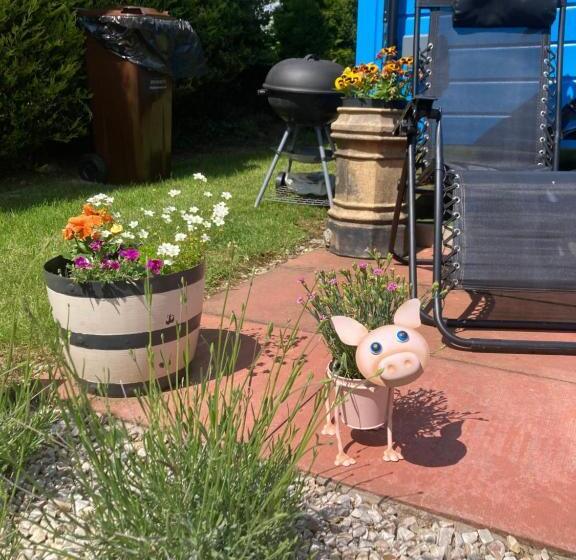 بنسيون Barr S Guest Accommodation