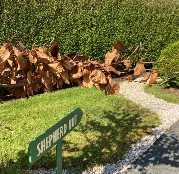 بنسيون Barr S Guest Accommodation