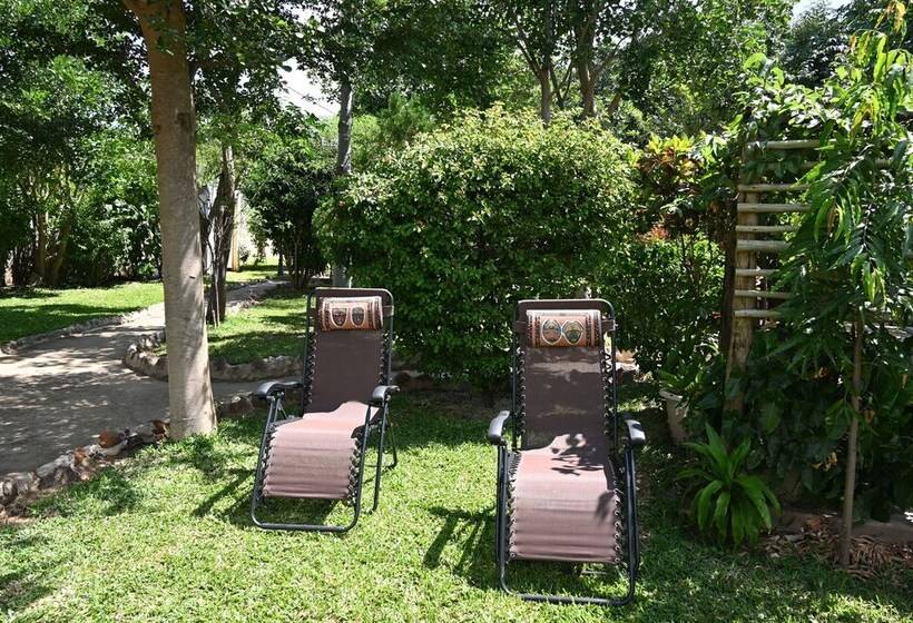 بنسيون Beulah Court Vineyard Guest House