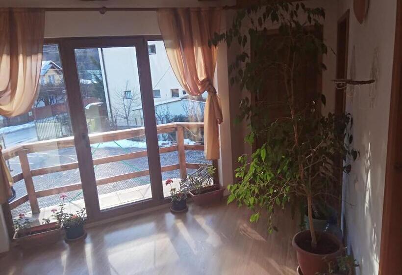 膳宿费 Casa Alexandru