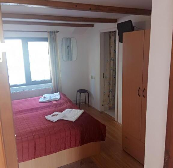 بنسيون Casa Alexandru