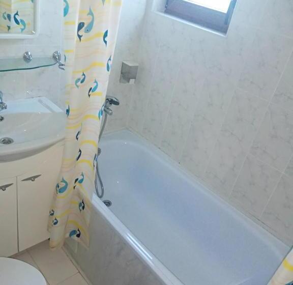 膳宿费 Casa Alexandru